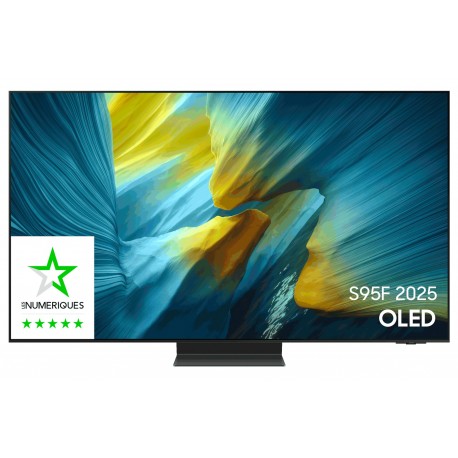 SAMSUNG TQ83S95FAEXXCOU SMART TV QNED 83