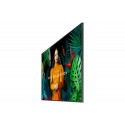 SAMSUNG QB50C 50" 4K UHD SMART SIGNAGE 16/7 PANTALLA PROFESIONAL