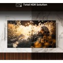 HISENSE 65U8NQ TELEVISOR 65