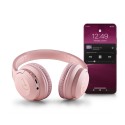 NGS ARTICAGREEDPINK AURICULAR